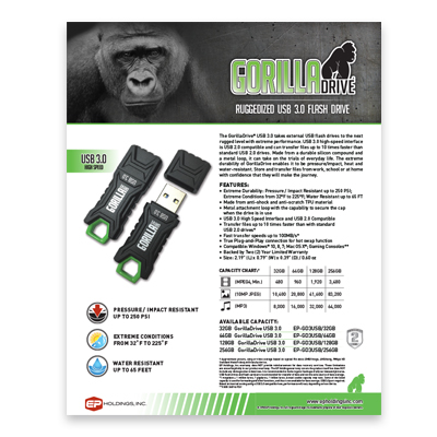 GorillaDrive 3.0 : Brochure